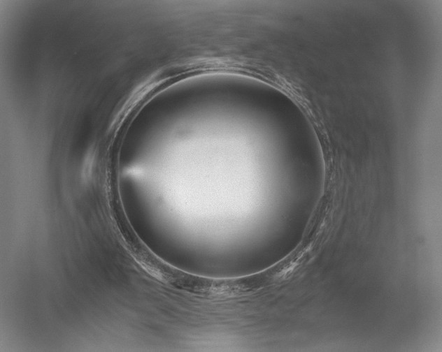 X0000052650103200507082042