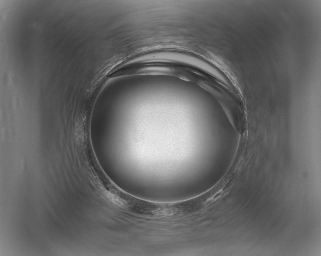 X0000052650105200507082042
