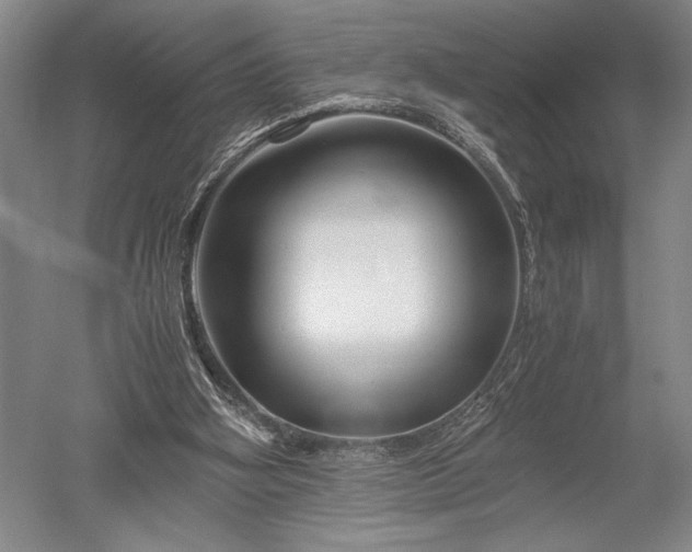 X0000052650106200507082042