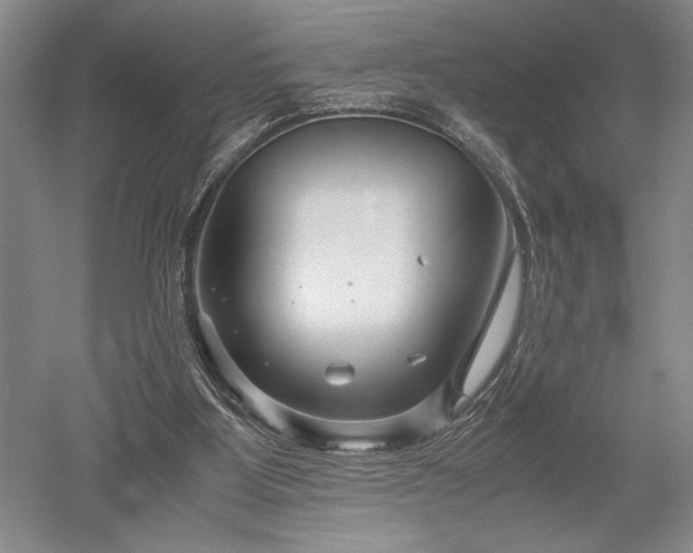 X0000052650107200507082042