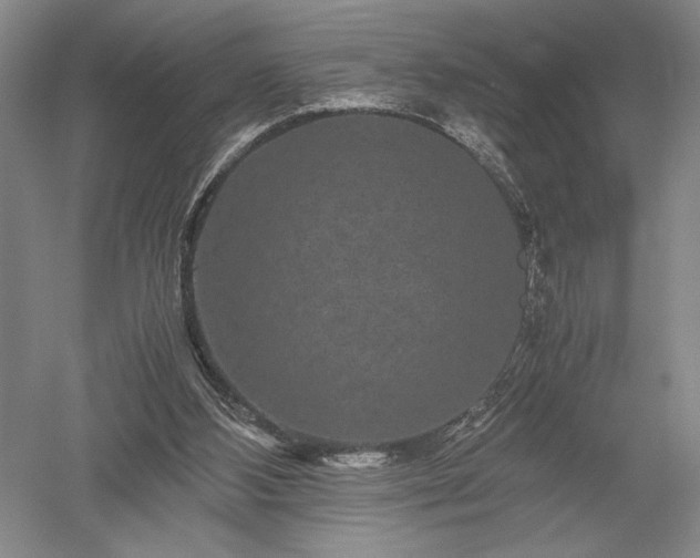 X0000052650108200507082042
