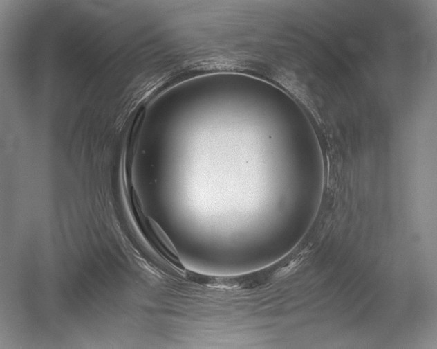 X0000052650109200507082042