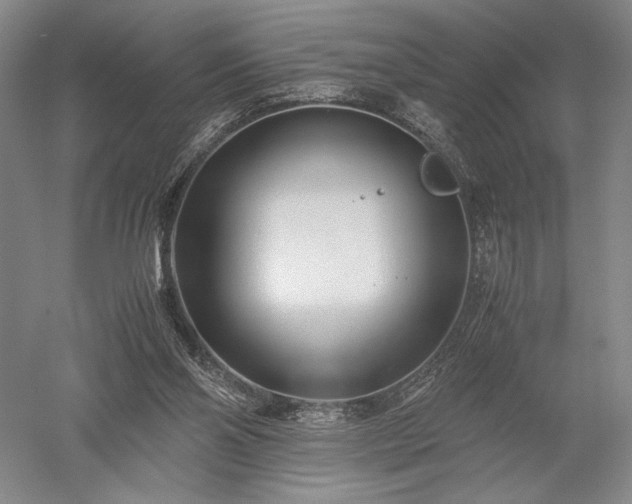 X0000052650110200507082042