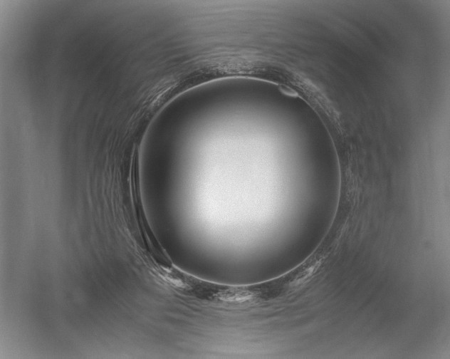 X0000052650113200507082042