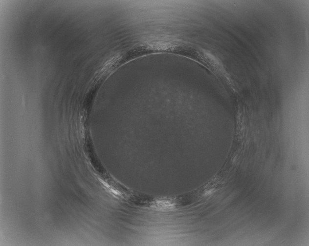 X0000052650114200507082042