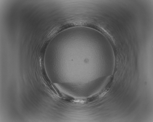 X0000052650117200507082042