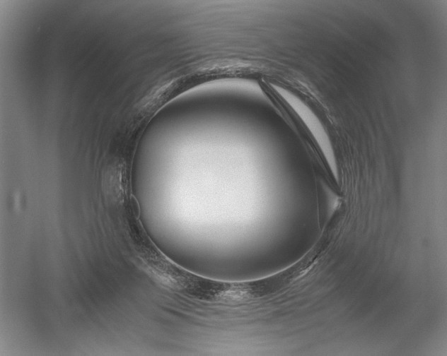 X0000052650119200507082042
