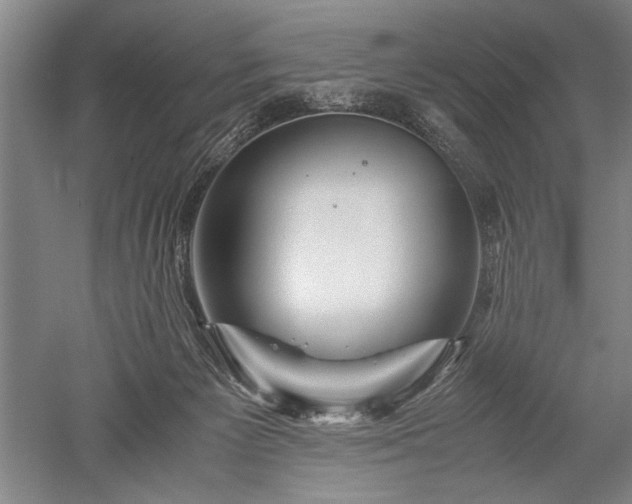 X0000052650125200507082042