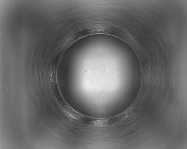 X0000052650126200507082042