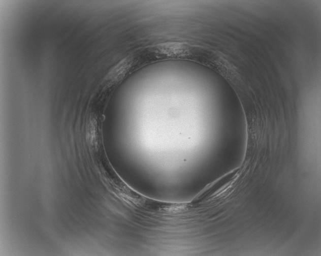 X0000052650132200507082042