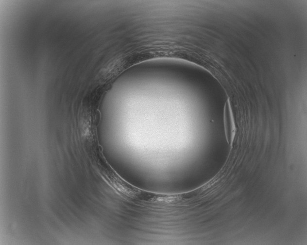 X0000052650134200507082042