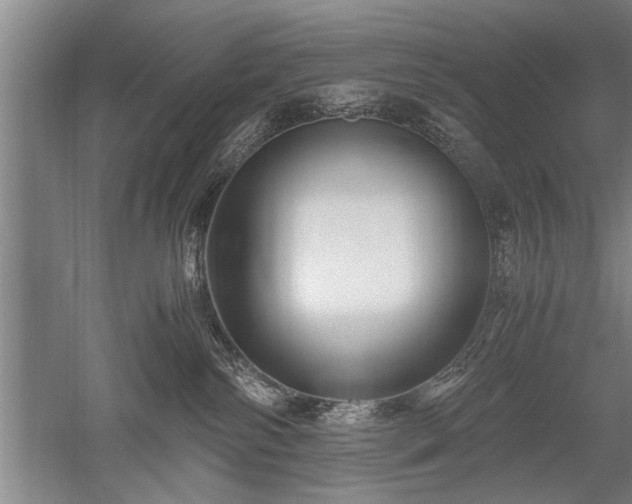 X0000052650138200507082042