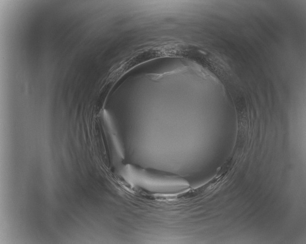 X0000052650139200507082041