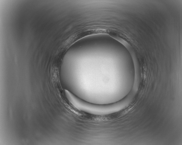 X0000052650141200507082041