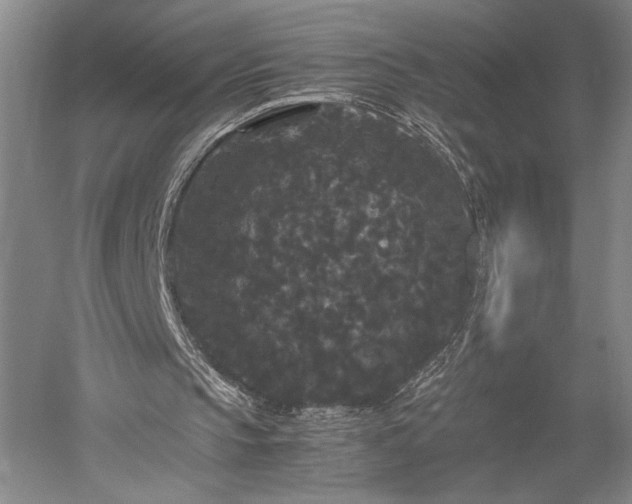 X0000052650145200507082041