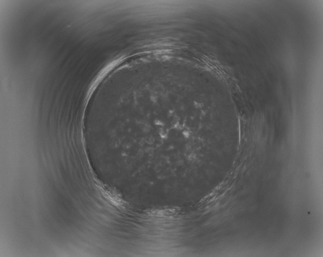 X0000052650147200507082041