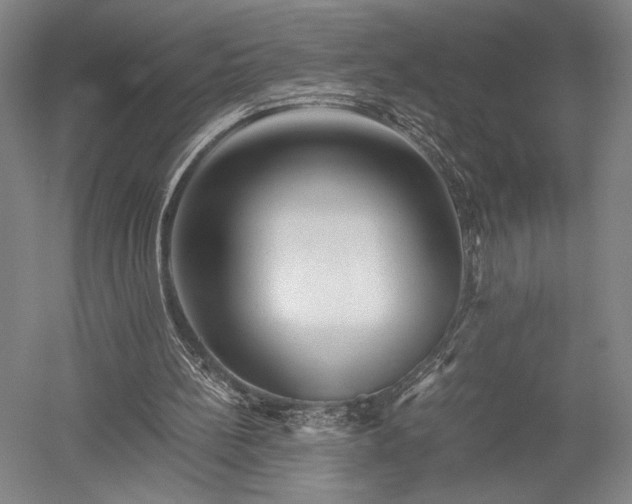 X0000052650148200507082041