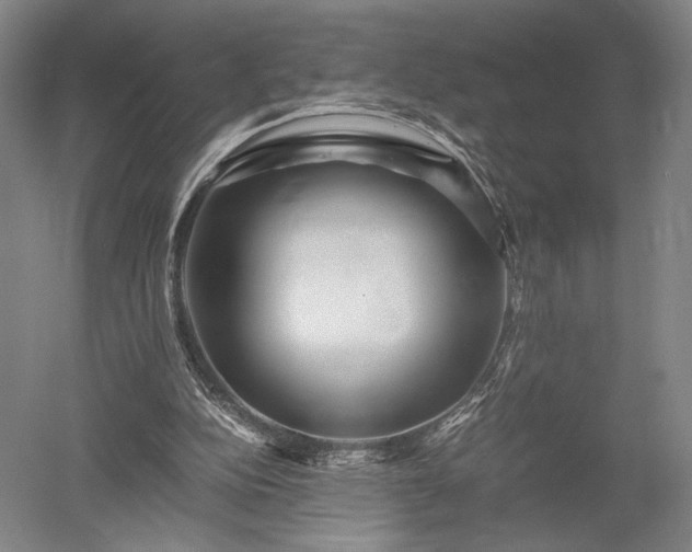 X0000052650152200507082041