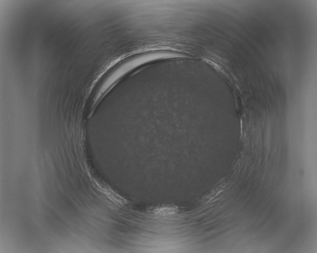 X0000052650156200507082041