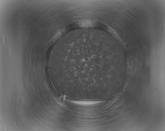 X0000052650161200507082041