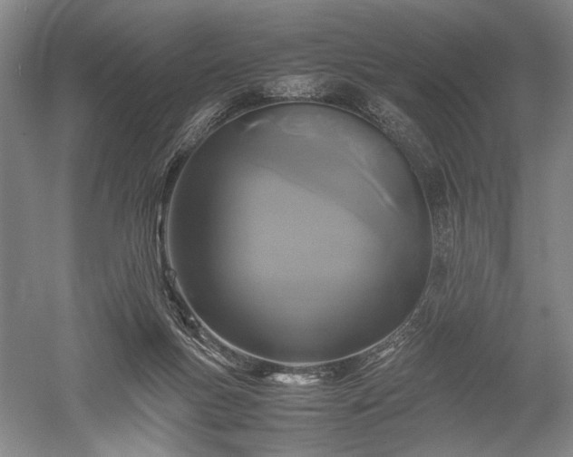 X0000052650167200507082041
