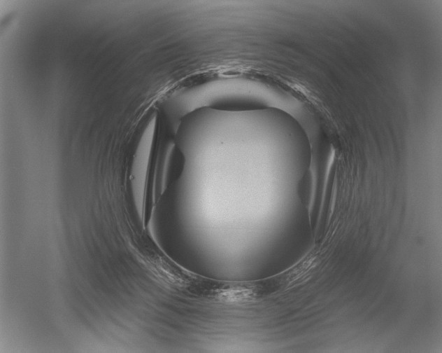 X0000052650168200507082041