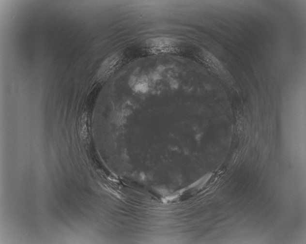 X0000052650169200507082041