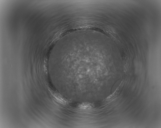 X0000052650175200507082041