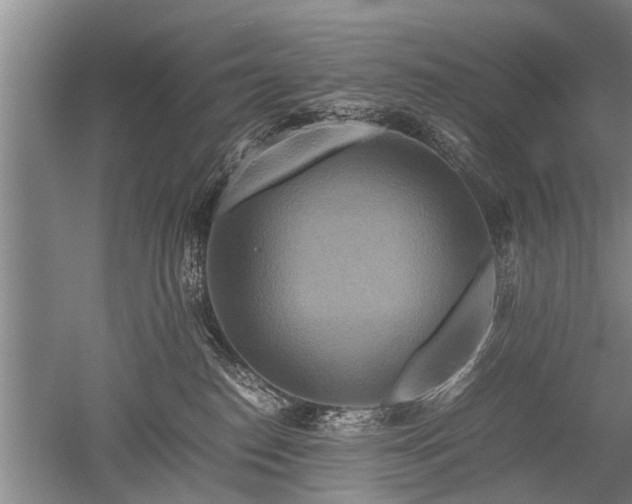 X0000052650186200507082041