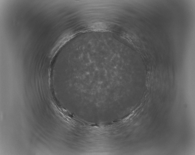 X0000052650194200507082041
