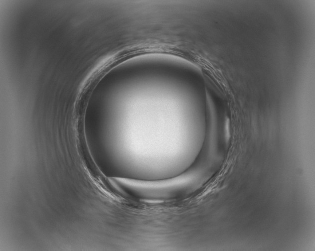 X0000052650197200507082040