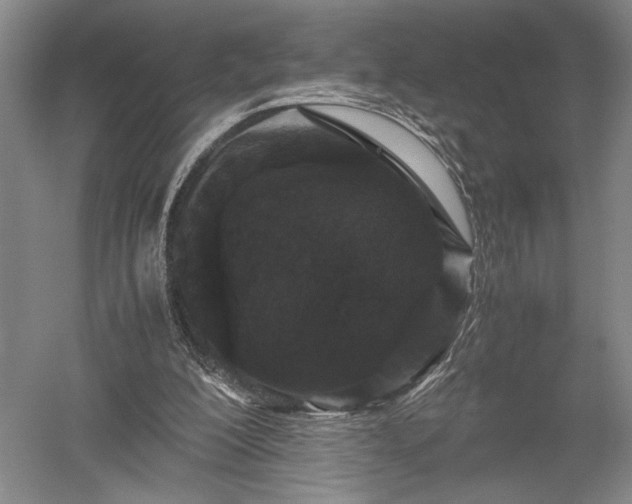 X0000052650200200507082040