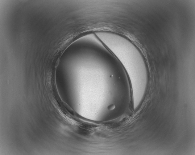X0000052650201200507082040