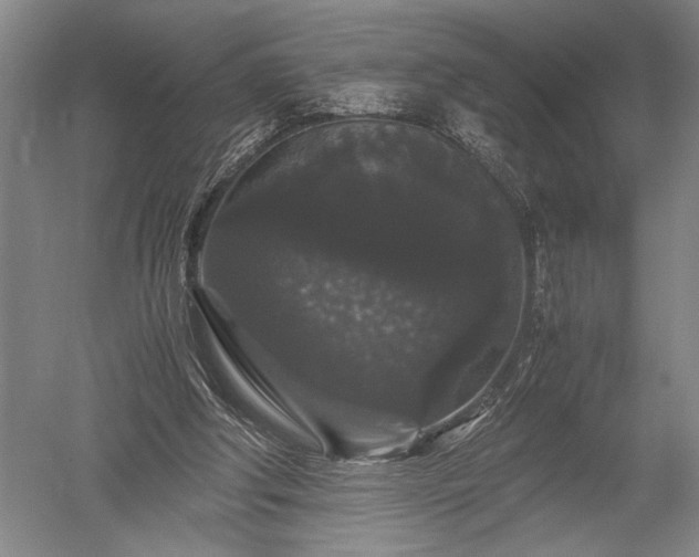 X0000052650202200507082040