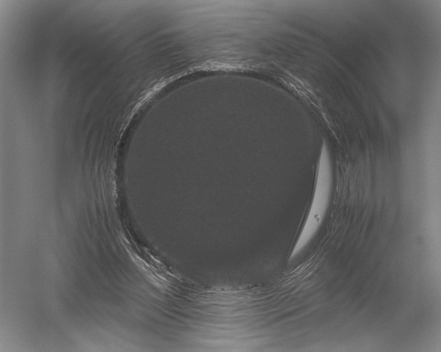 X0000052650204200507082040
