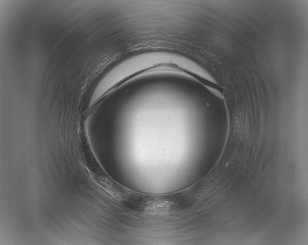 X0000052650206200507082040