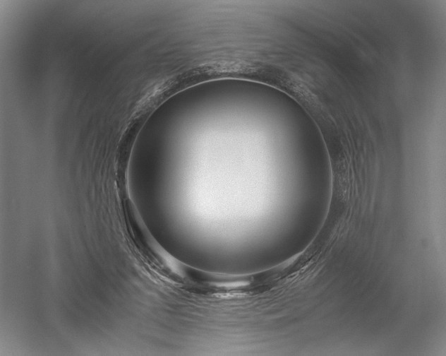 X0000052650207200507082040