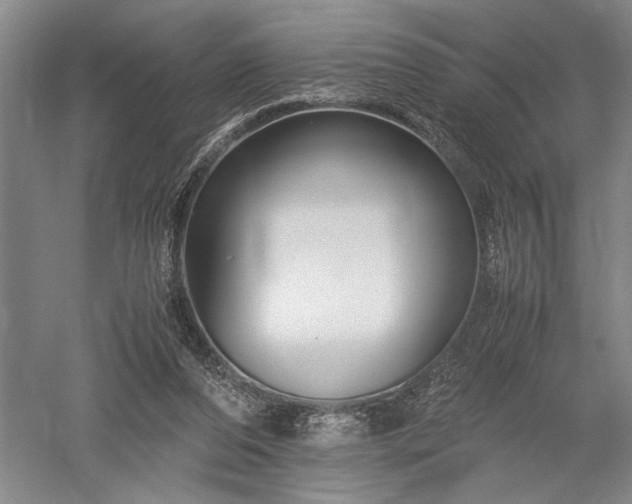 X0000052650208200507082040