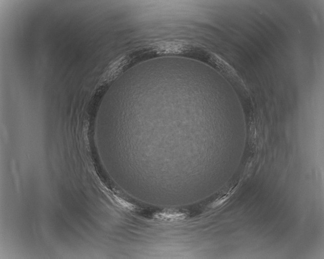 X0000052650209200507082040
