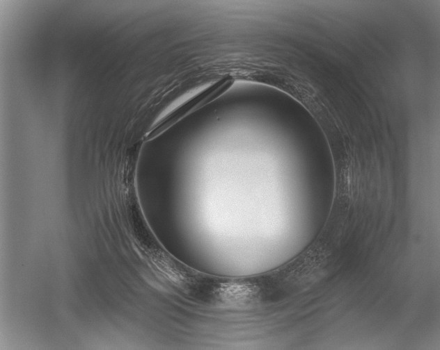 X0000052650218200507082040