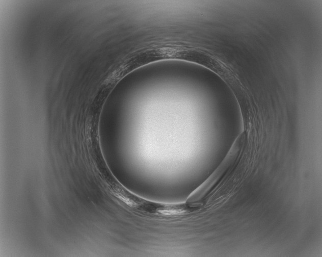 X0000052650221200507082040