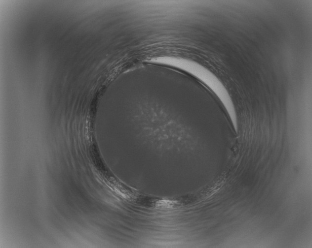 X0000052650222200507082040