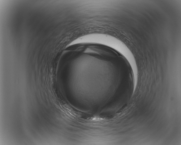X0000052650223200507082040