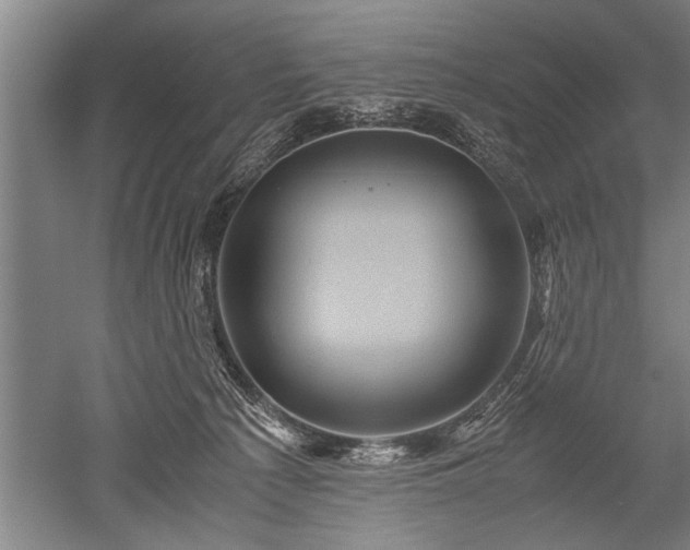X0000052650225200507082040