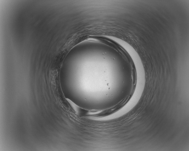 X0000052650229200507082040