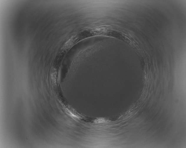 X0000052650231200507082040