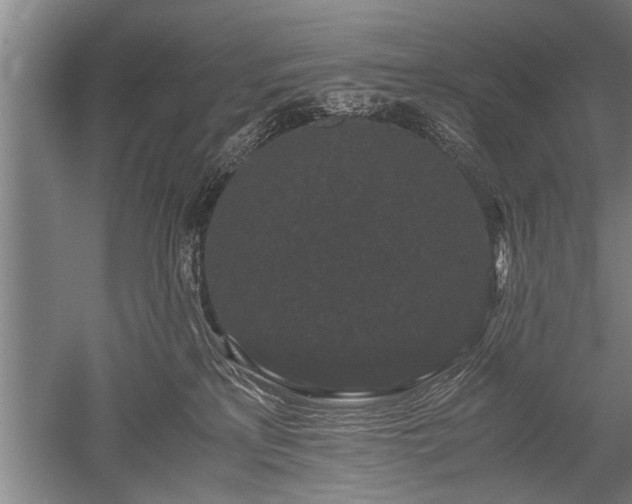 X0000052650233200507082040