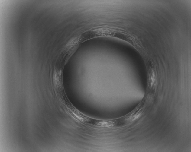 X0000052650239200507082040