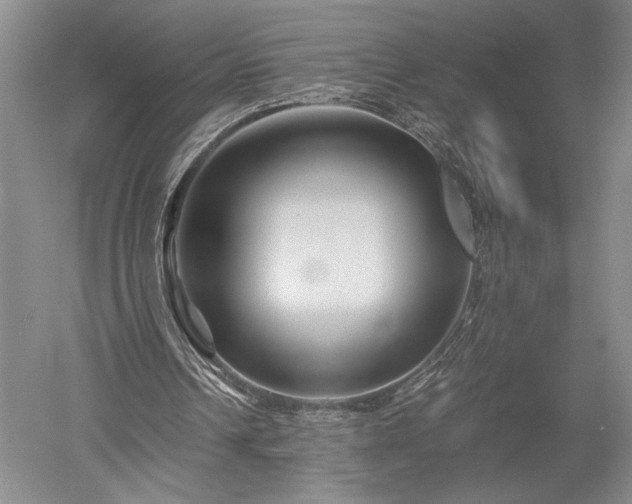 X0000052650242200507082039