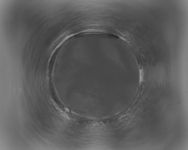 X0000052650243200507082039